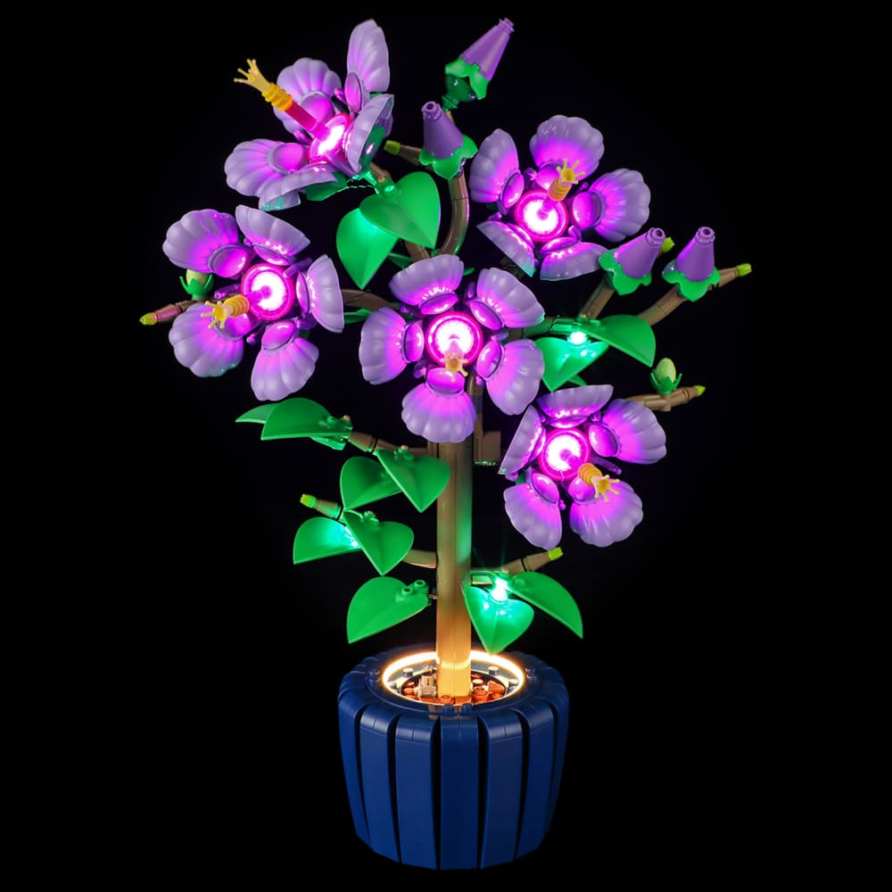 Kit d'éclairage Briksmax 2.0 pour Hibiscus #10372