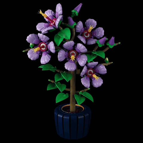 Kit d'éclairage Briksmax 2.0 pour Hibiscus #10372
