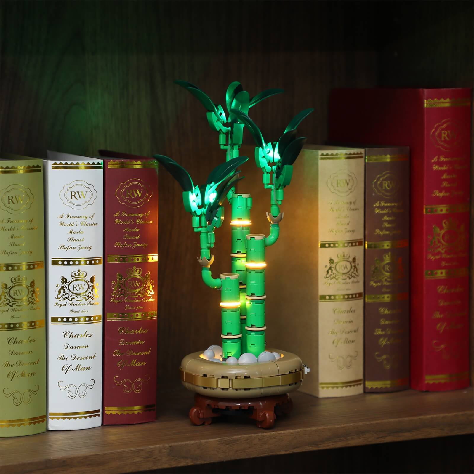 lucky bamboo book Light Kit For Lucky Bamboo 10344-Briksmax