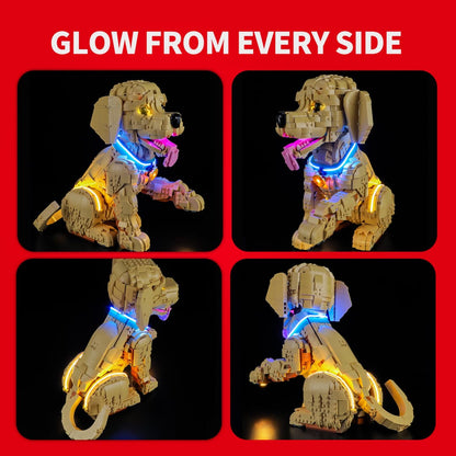 Light Kit for Golden Retriever Puppy 11384- Briksmax 2.0