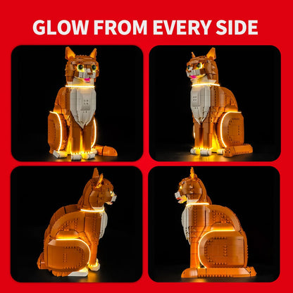 Light Kit for Orange Cat 21376 - Briksmax 2.0【Not Final Price｜Coming Soon】