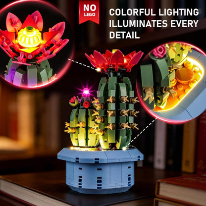 Kit d'éclairage pour cactus à fleurs 11509- Briksmax 2.0