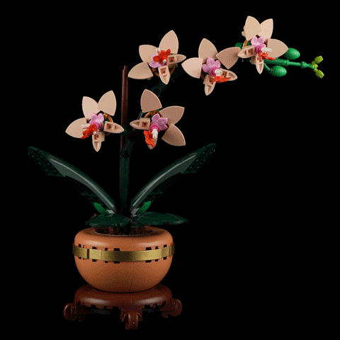 Briksmax 2.0 Light Kit For Mini Orchid 10343 Briksmax 2.0 Light Kit For Mini Orchid 10343