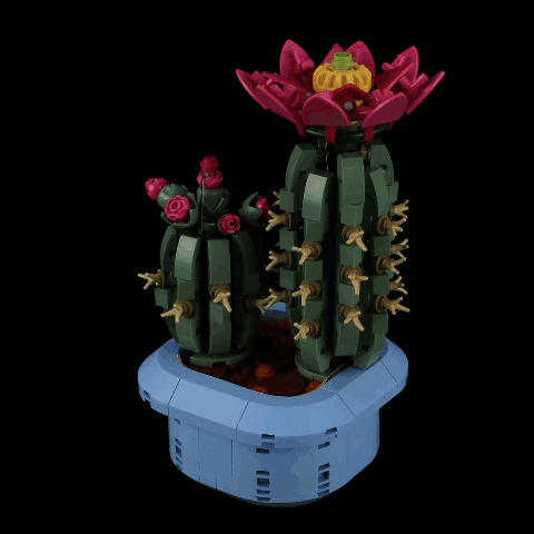 Kit d'éclairage pour cactus à fleurs 11509- Briksmax 2.0