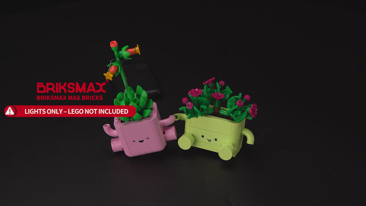 Light Kit for Rocking Plants 11506