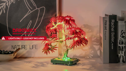 Briksmax 2.0 Light Kit For Japanese Red Maple Bonsai Tree #10348
