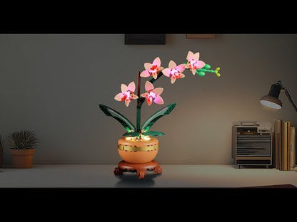 Kit d'éclairage Briksmax 2.0 pour mini orchidée 10343