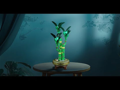 Light Kit For Lucky Bamboo 10344-Briksmax