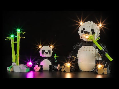 Kit d'éclairage Briksmax 2.0 pour animaux sauvages : Famille Panda 31165