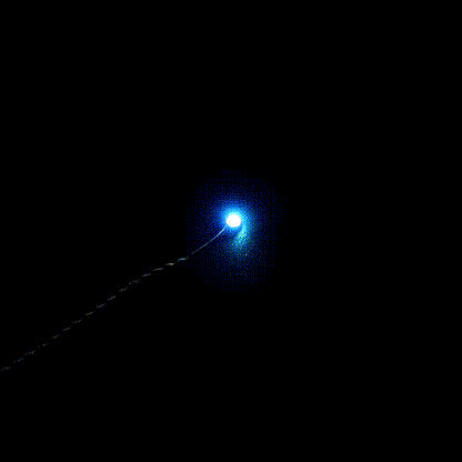 30cm Breathing Light (Three Pack)